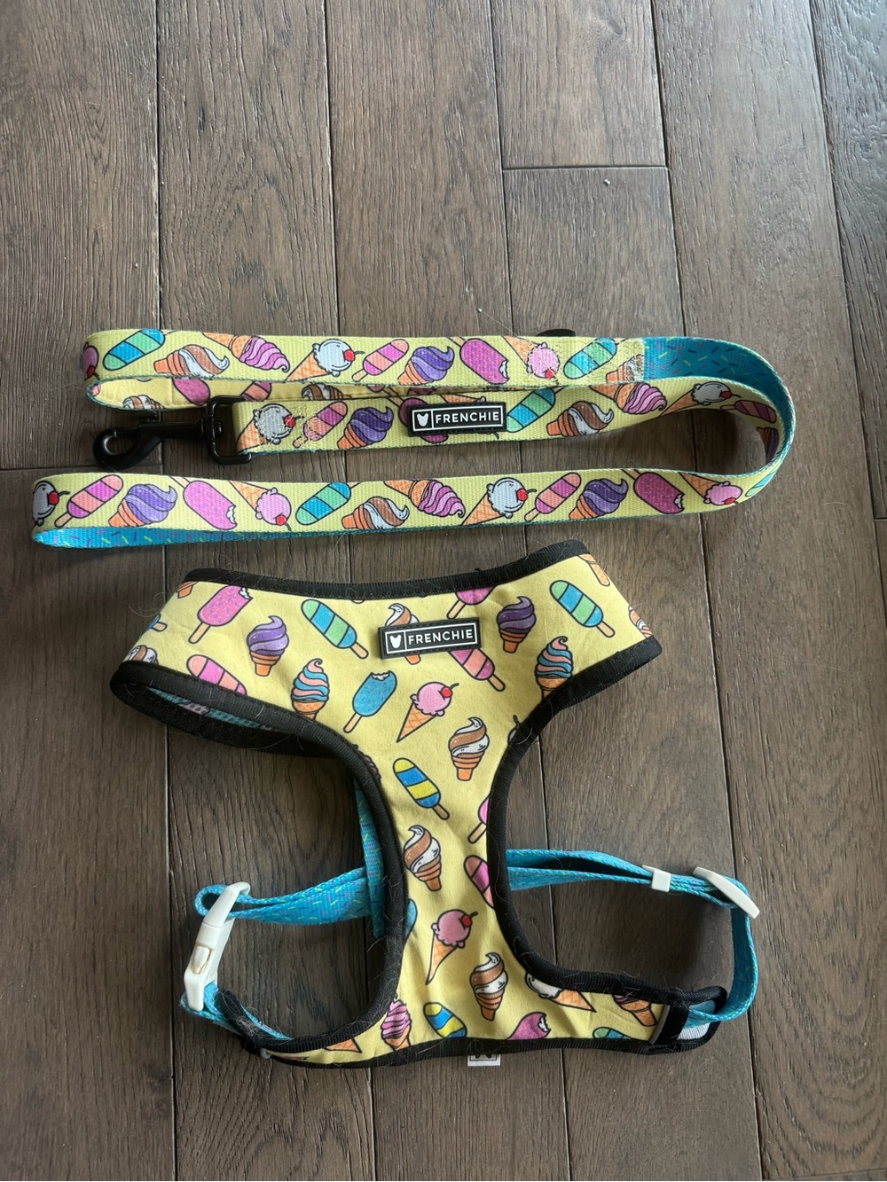Frenchie Yellow Ice Cream Print Kids Dog Harness & Leash Set - XL